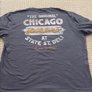 Hollister Gray Short Sleeve Tee with Graphic Design